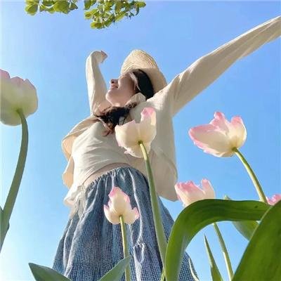 蓝甲虫